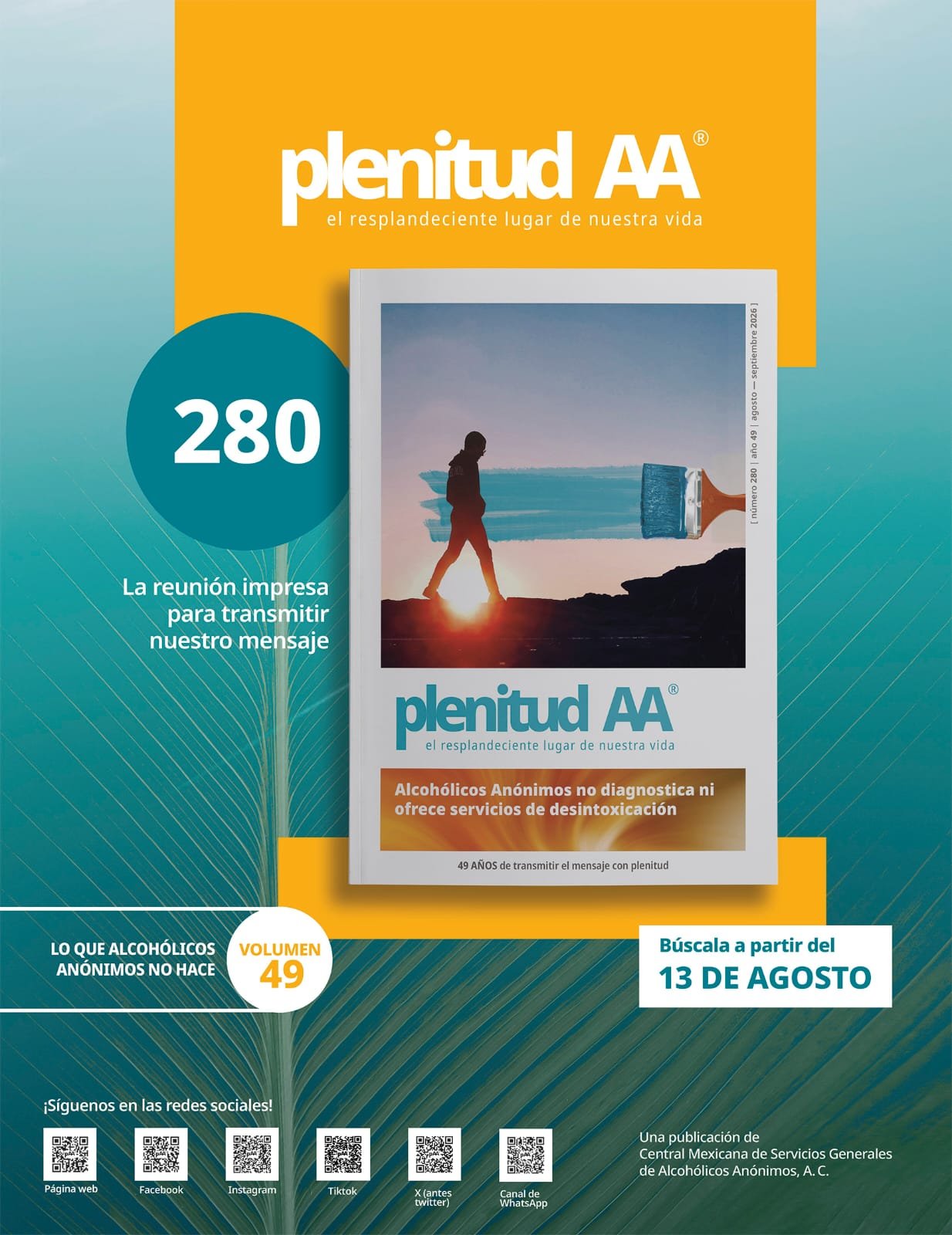 Flyer Plan de acción Mayo 2026